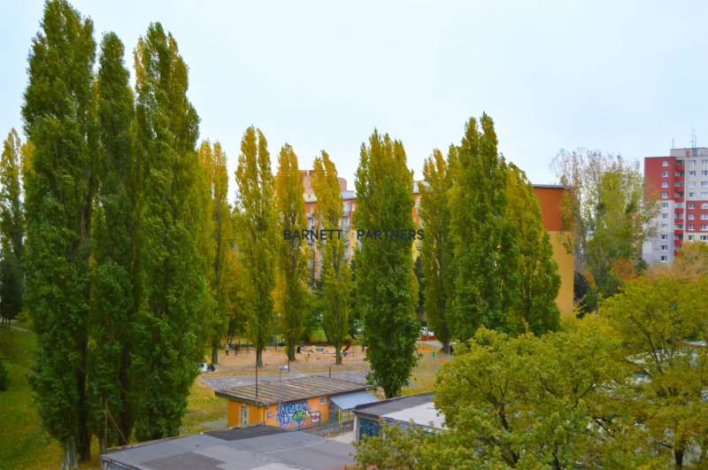 BILDEN SIE IHR ZUHAUSE IM NEUBAU DOMINO | ZWEI-ZIMMER-WOHNUNG ZU VERMI